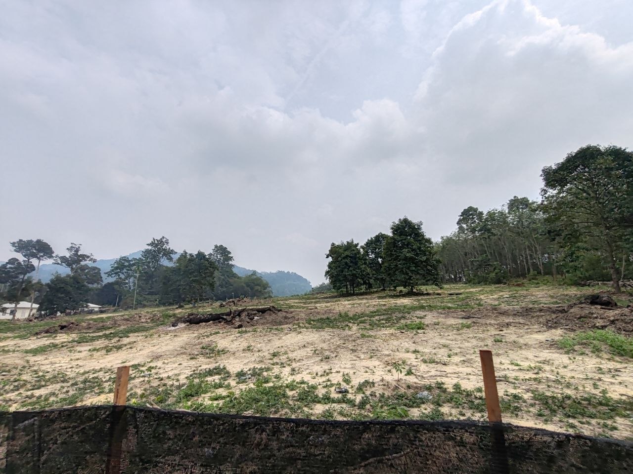 TANAH KEBUN GETAH NYALAS, JASIN