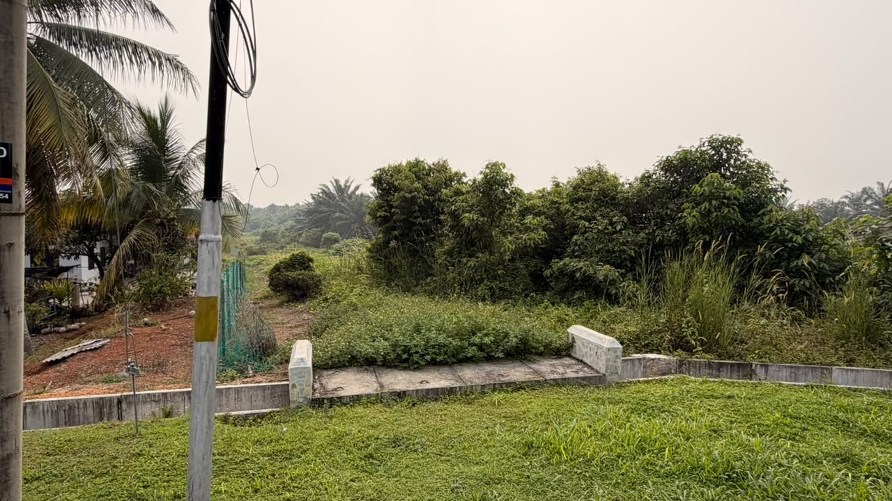 TANAH PERTANIAN PAYA DALAM, BUKIT LINTANG MELAKA