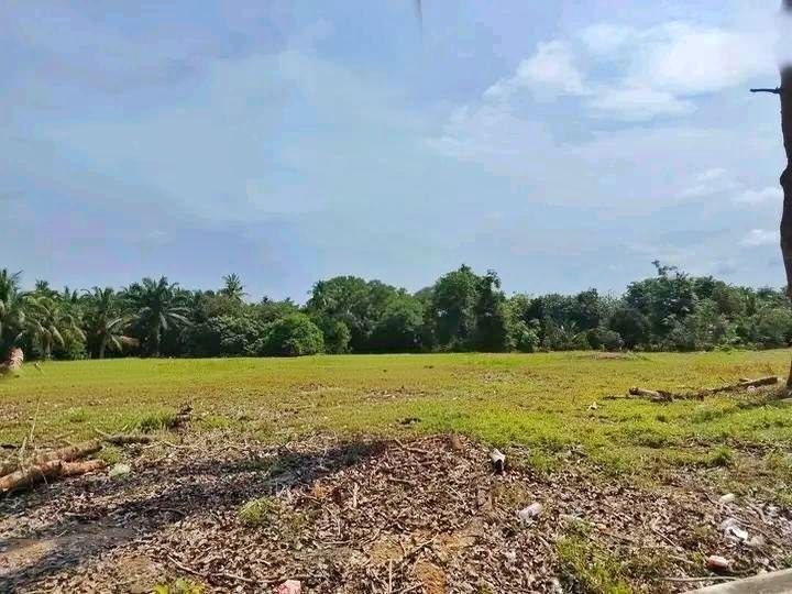 TANAH SUNGAI RAMBAI MELAKA