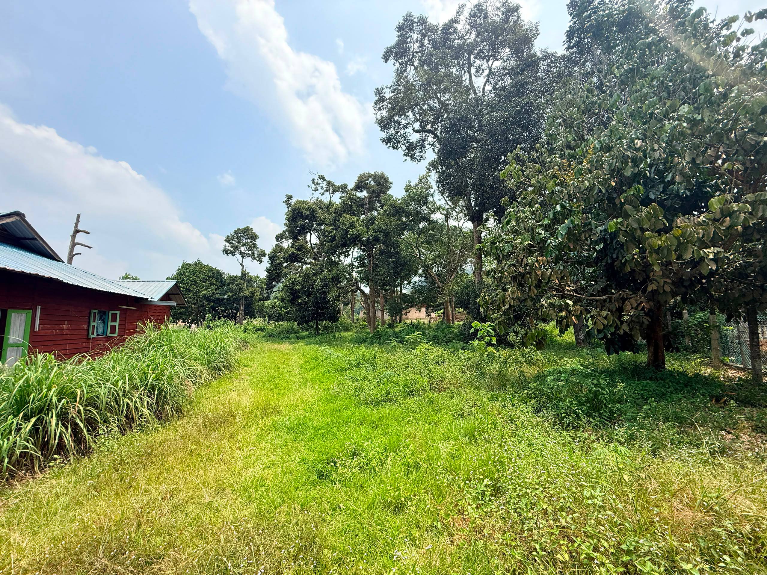 TANAH TABOH NANING, ALOR GAJAH