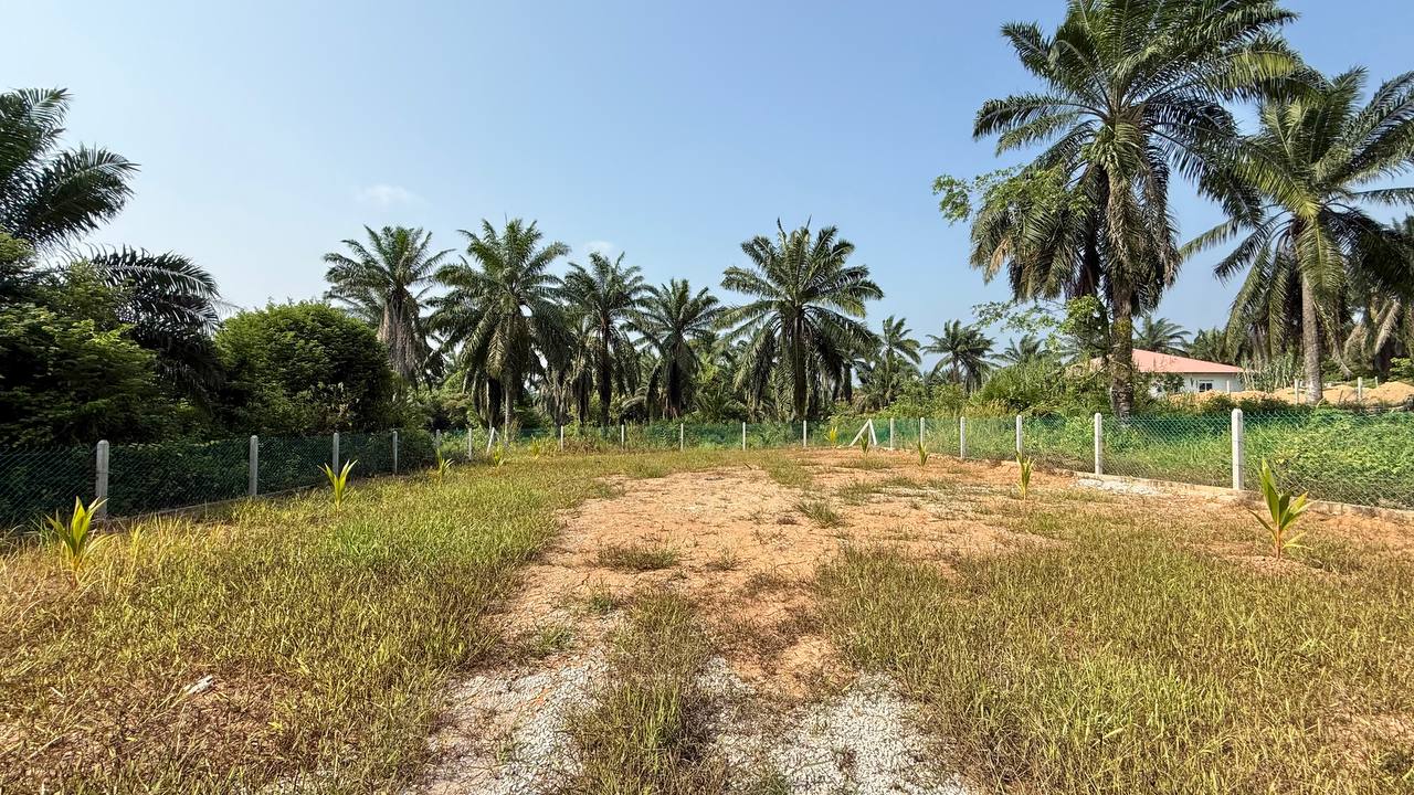 TANAH KAMPUNG TERSUSUN LIPAT KAJANG JASIN MELAKA