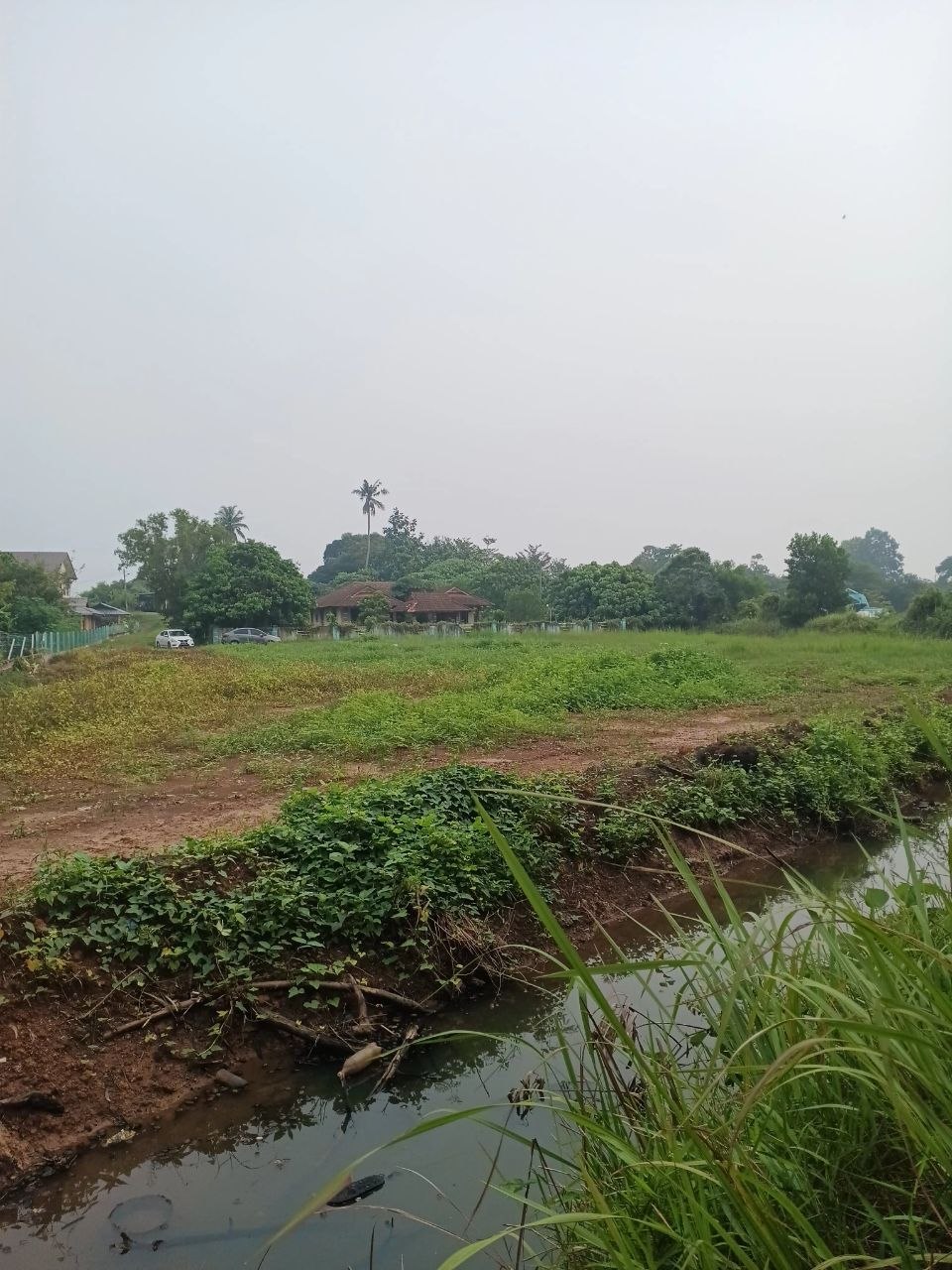 TANAH PERTANIAN TELUK MAS MELAKA